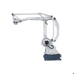 AHP 200Kg 3000 Serisi Paletleme Robot