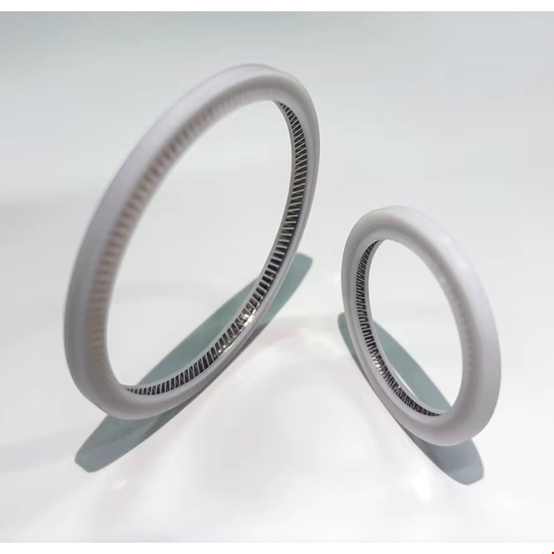 o ring